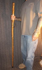 Tennessee Walking Stick- Wood Hiking Stick Staff Hike Pole Hand Carved Cane #91