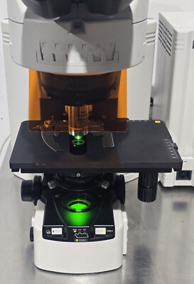Nikon Eclipse 90i Fluorescence Microscope with Digital Nikon Eclipse 90i Fluorescence Microscope with Digital