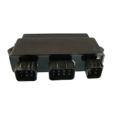 Wild Boar High Performance CDI IYA6033