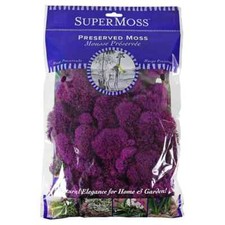 Fuchsia Preserved Reindeer Moss