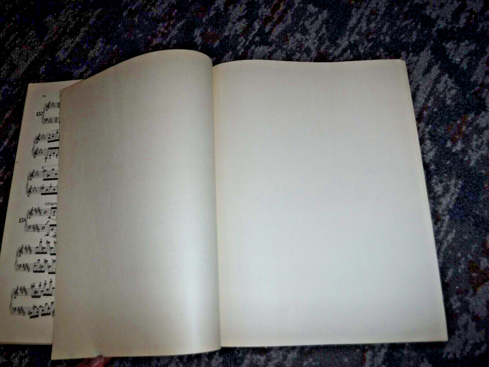 Bild 5 von 7