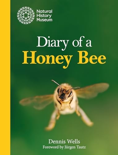 Diary Of A Honey Bee Dennis Wells - Image 5