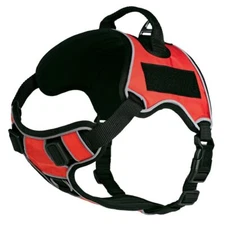 Multipurpose Dog Harness, Red S 21"-25"