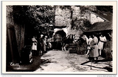 37- the harvest in touraine, the entrance to the cellar