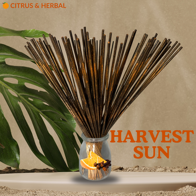 #ad Harvest Sun Hand Dipped Dual Scent 11quot; Incense Sticks 25 50 100 Count $41.50