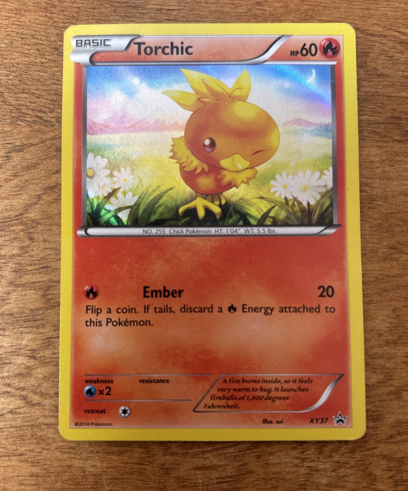 Torchic XY37 - Pokemon TCG Black Star Promo 2014 - LP