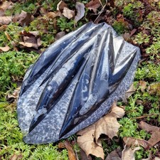 Budawi® Orthoceras Platte XL Fossilien versteinerte Tintenfische poliert ( OP3 )