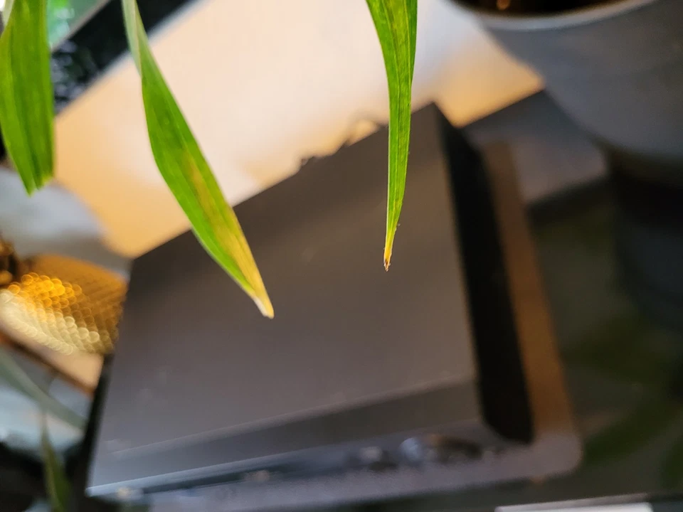 JVC VHS HR-J722EU - Bild 4 von 4