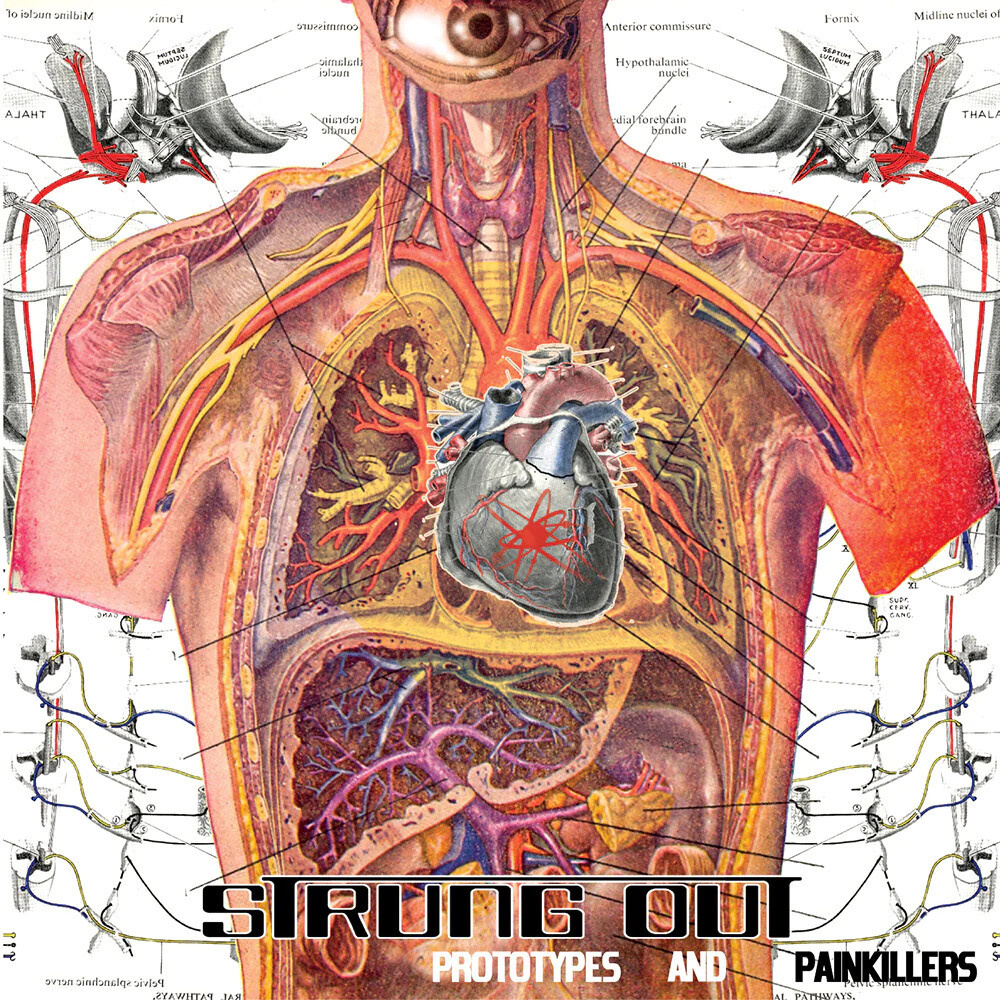 Strung Out Prototypes and Painkillers (CD) Album