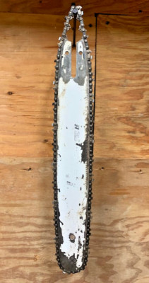 OEM 16'' Stihl Chainsaw Guide Bar & Oregon 91 Chain 3/8 .050 Picco 30050004813