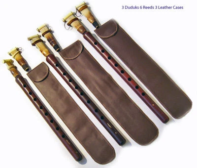3 Professionnel Arménien DOUDOUK Duduk 6 Reed 3 Cases bois d'abricotier NEUF PRO