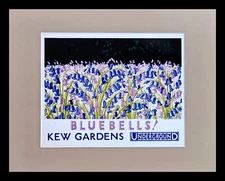 Kew Gardens Bluebells 1930 Vintage Floral Art Matted & Framed  11.75" x 14.75"