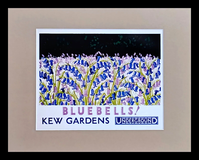 #ad #ad Kew Gardens Bluebells 1930 Vintage Floral Art Matted amp; Framed 11.75quot; x 14.75quot; $41.44