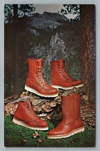 Irish Setter Sport Boots Red Wing Shoes Vintage Advertising Postcard 1950s Ebay