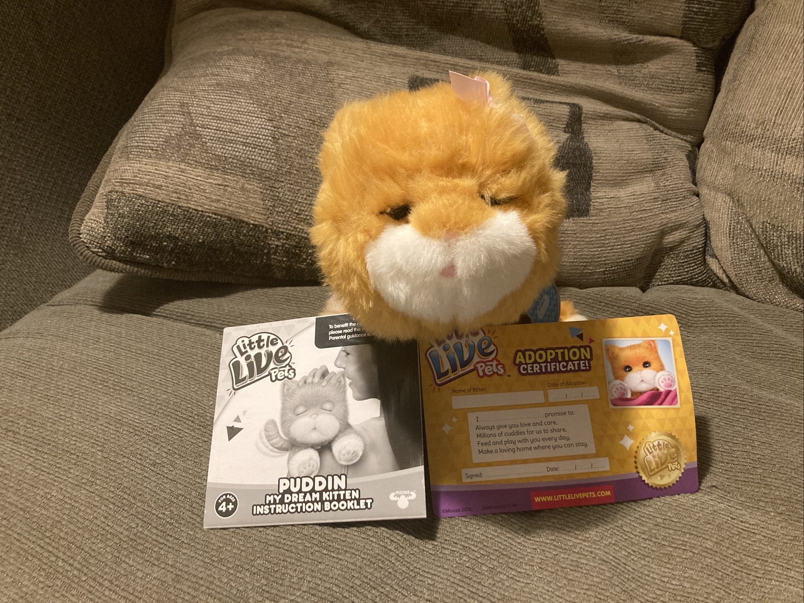 little live pets puddin