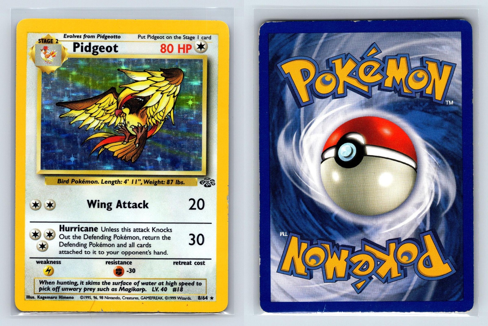 1999 POKEMON JUNGLE 8/64 PIDGEOT UNLIMITED HOLO MODERATELY PLAYED