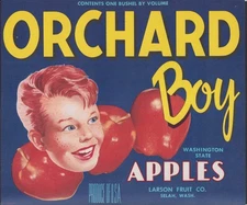 Larson Fruit Co Orchard Boy Apples unused 1 bushel crate label Selah WA