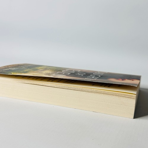 Daughter of Eden - Eve's Story by Jill Eileen Smith Paperback 2023 - Picture 8 of 13