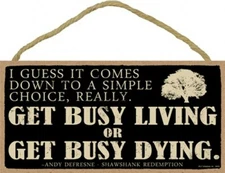 I Guess It Comes Down To... Get Busy Living OR Get Busy Dying Wood 10X5 Sign C16