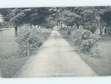 Divided-Back HOUSES ALONG STREET Philadelphia Pennsylvania PA : 60k cards HJ7409