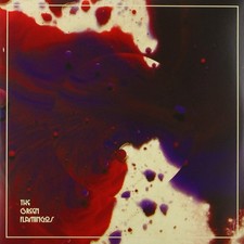 Green Flamingos - Green Flamingos Ep (10 Lp) (UK IMPORT) VINYL LP NEW