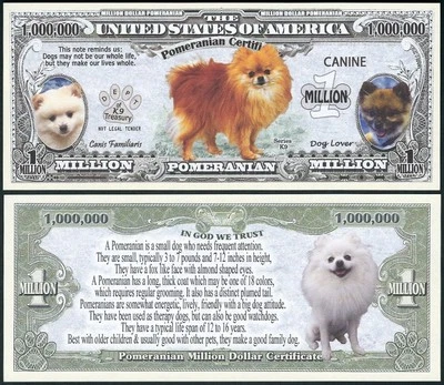Pomeranian Million Dollar Bill Dog Certificate Play Funny Money with FREE SLEEVE