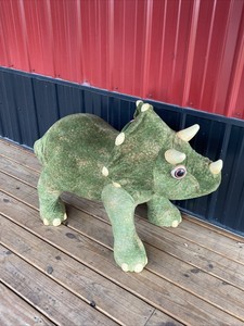 kota my triceratops dinosaur