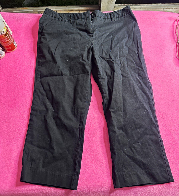 Daisy Fuentes Women's Black Pants Petites Size 14P