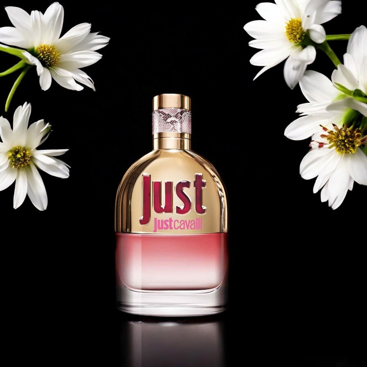 Just Cavalli New Eau De Toilette Spray By Roberto Cavalli Just Cavalli New Eau De Toilette Spray By Roberto Cavalli