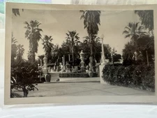  Hearst Castle Gardens San Luis Obispo CA RPPC EKC Back Palm Trees #5 