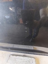 Porte arrière et accessoires Peugeot 3008