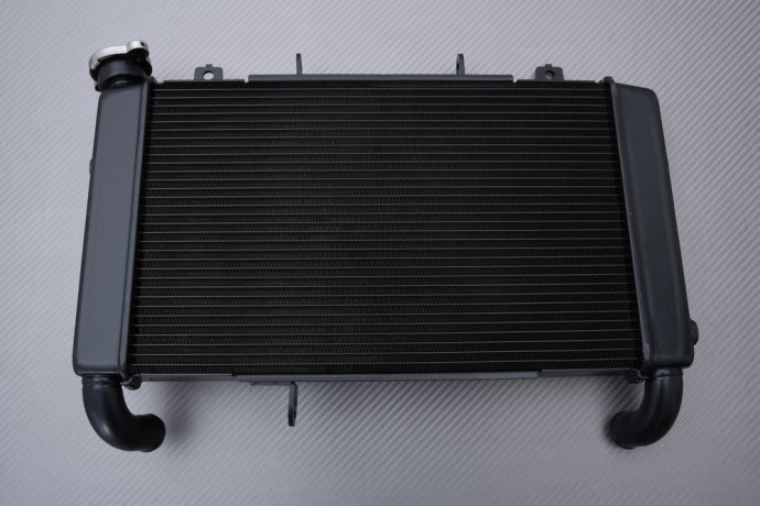 Radiateur CB650R Honda en alu haute performance thermique 19-20