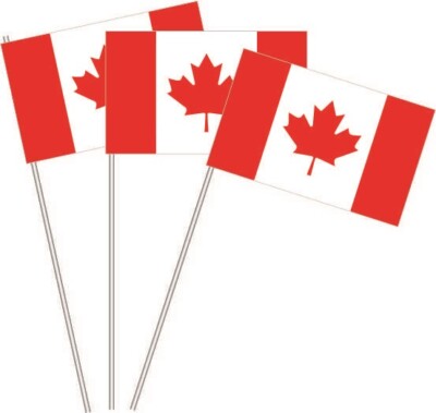 Drapeau Papier Estonie (Estland) - Dimensions 12 X 24 Cm - Marque U24 - Neuf