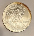 2001 $1 American Silver Eagle 1 oz ASE .999 Fine Silver Toned