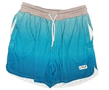 TLF Take Life Further GTS Mesh Gym Shorts Mens/Unisex Size Large Blue Ombré 