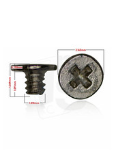 Replacement Screw Box 2.0 Refill  2F4  100 Pack 