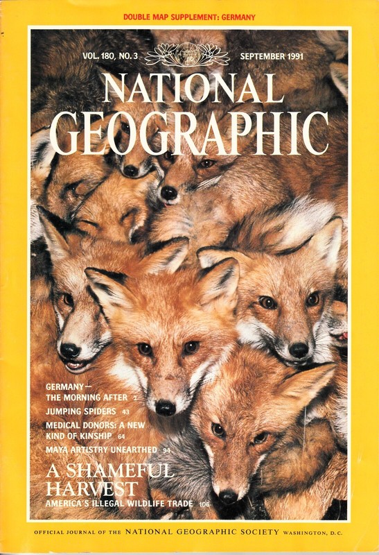 National Geographic Magazine September 1991 No Map, Illegal Wildlife