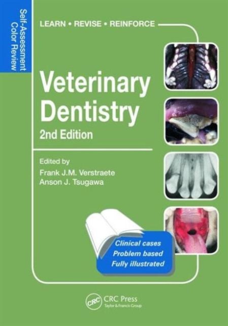 Veterinary Dentistry: Self-Assessment Color Rev, Verstraete, Tsugawa Pap.. - Image 5