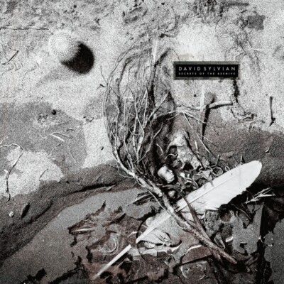 DAVID SYLVIAN - SECRETS OF THE BEEHIVE (REMASTERED LP)   VINYL LP NEU