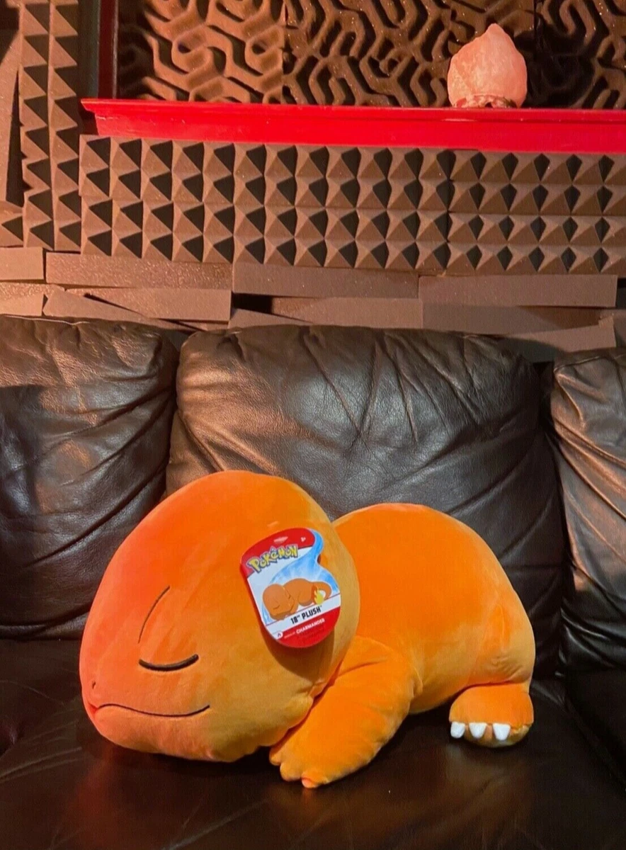 Sleeping charmander plush sales