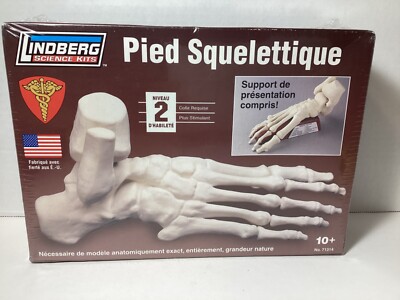 Lindberg Science Skeletal Foot Kit Fully Articulated Life-Size Model Kit No. 71