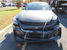 2019 STINGER RIGHT FENDER PANTHERA METAL P2M