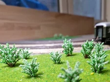 20 White Blooming Bushes, Shrubs, 28 and 40 mm High, for Landscape Construction