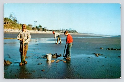 Razor Clam Digging Clamming Pacific Coast Yachats Oregon c1959 Postcard