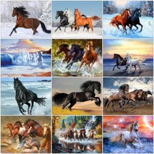 Paint by Numbers Diy Kit Horses Running River 40cmx50cm/16x20 Inch Canvas