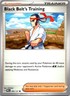 Prismatic Evolutions - Black Belt's Training - 099/131 - NM/M