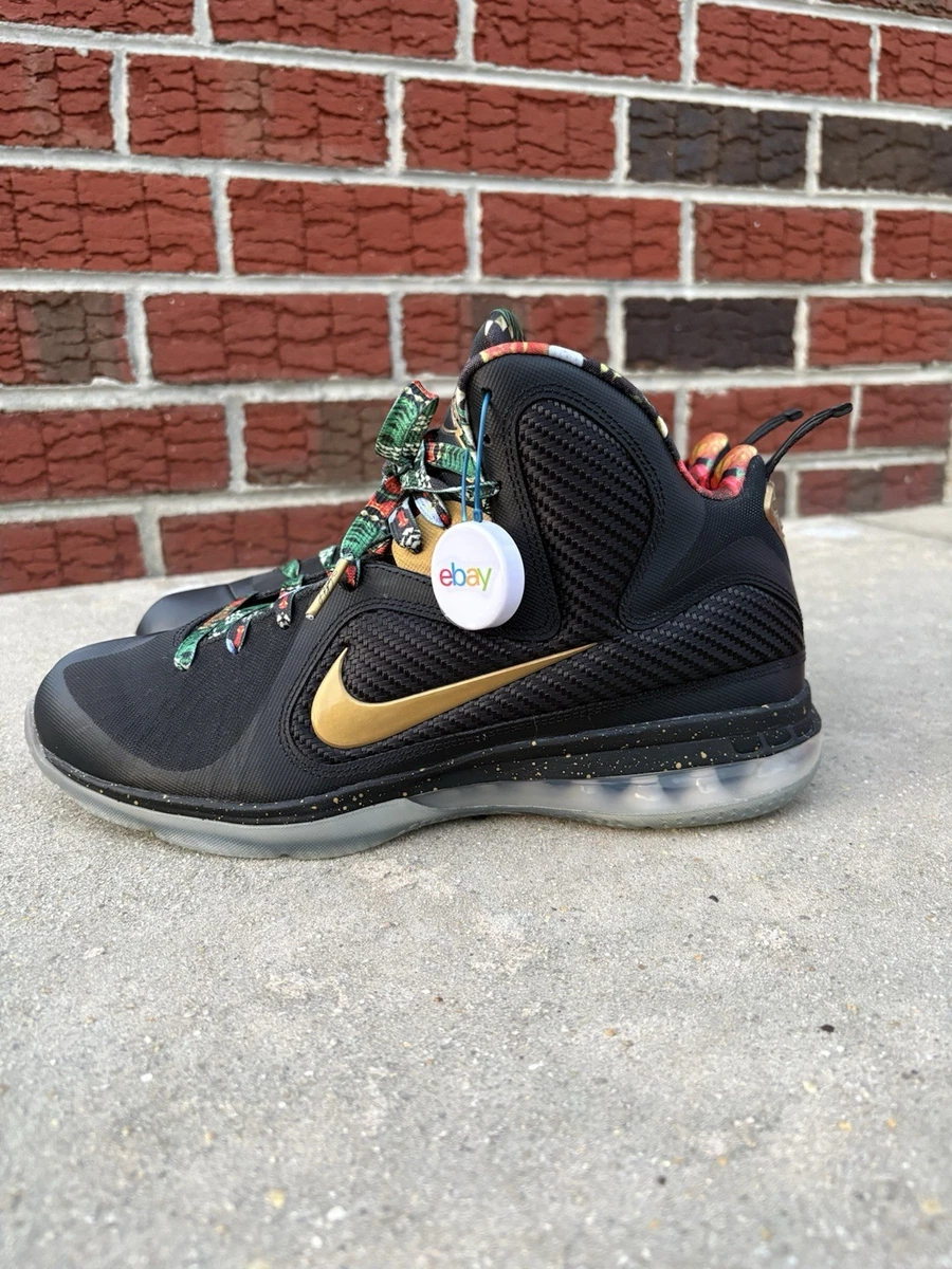 Nike LeBron 9 2022 Watch The Throne for Sale | Authenticity