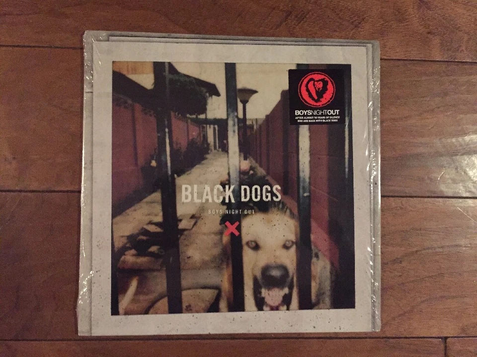 Boys Night Out Black Dogs 10" Clear Color Vinyl Fall Out Boy The Starting Line - Image 3 of 4