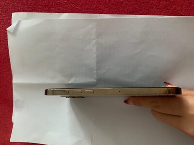 Apple iPhone 12 Pro Max - 128GB - Silber (Ohne Simlock) (Dual-SIM)