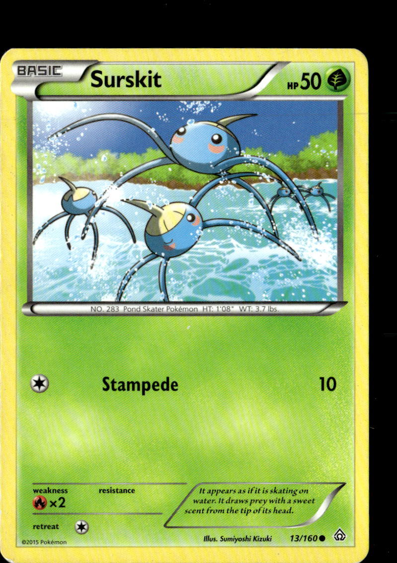 Pokemon Surskit 13/160 Primal Clash Non Holo Common  2 Card Lot